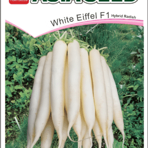 Radish Hybrid Seed White Eiffel F1 Asia Seed