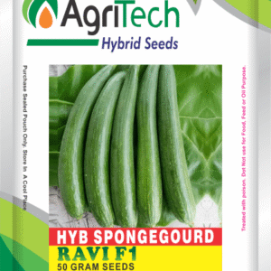 Ravi F1 Hybrid Sponge gourd-Agritech