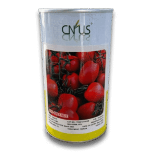 Rio Grande Tomato Seeds Packet -CNUS
