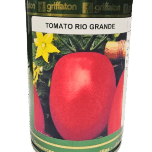 Rio Grande Tomato Seeds Packet Griffaton 100g