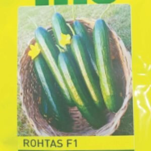 Rohtas F1 Hybrid Cucumber Seeds-Agritech