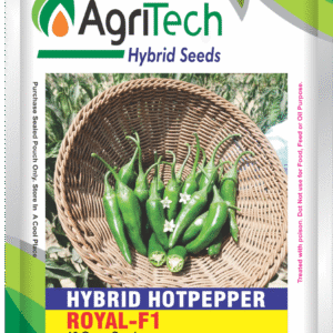 Royal F1 Hybrid Hot Pepper Seed-Agritech