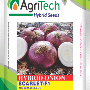 Scarlet F1-Hybrid Onion Seeds-AgriTech