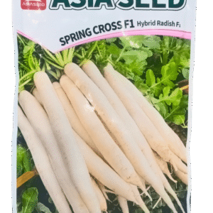 Spring Cross F1 Radish Hybrid Seed Asia Seed
