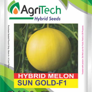 Sun Gold F1 Hybrid Melon Seeds