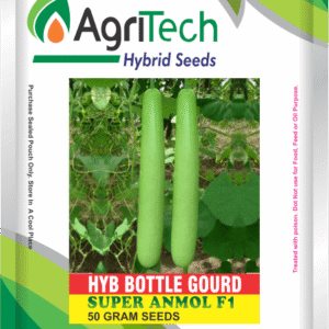 Super Anmol F1 Hybrid Bottle Gourd(Louki Kaddu)-Agritech