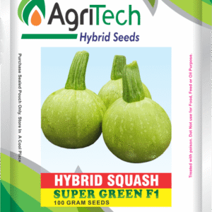 Super Green F1 Hybrid Squash(Tindi)-Agritech