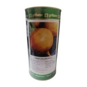 Turnip Golden Ball (shalgam) Griffaton-France
