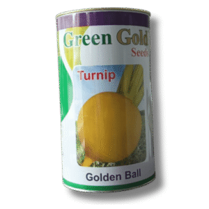 turnip(shalgam) Golden Ball Geen Gold Seeds