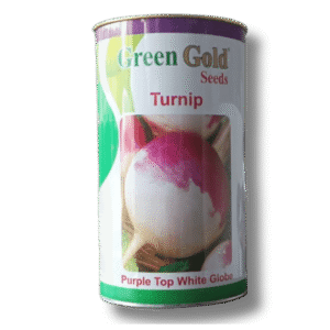 turnip(shalgam) Purple Top White Geen Gold Seeds