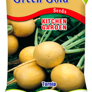 Turnip Yellow Kitchen Garden