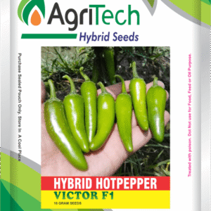 Victor F1 Hybrid Hot Pepper Seed-Agritech