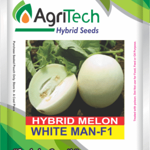 White Man F1 Hybrid Melon Seeds